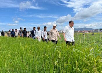 Komisi IV DPR RI Tinjau Potensi Ketahanan Pangan dari Program Sawah Pokok Murah di Sumbar