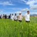 Komisi IV DPR RI Tinjau Potensi Ketahanan Pangan dari Program Sawah Pokok Murah di Sumbar