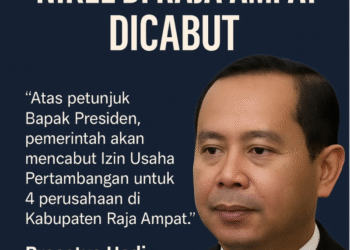 Pemerintah Cabut 4 Izin Tambang Nikel di Raja Ampat, Hanya PT Gag Nikel yang Masih Beroperasi