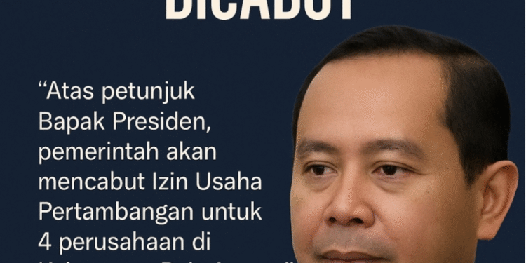 Pemerintah Cabut 4 Izin Tambang Nikel di Raja Ampat, Hanya PT Gag Nikel yang Masih Beroperasi