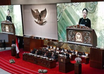 Puan Apresiasi Langkah Cepat Prabowo Atasi Tambang Ilegal Raja Ampat dan Sengketa Pulau Aceh