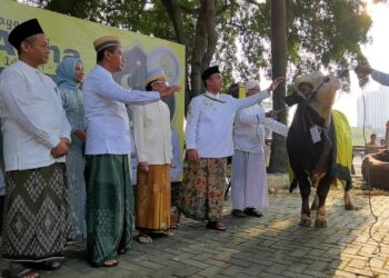 Bahlil Lahadalia Serahkan Sapi Kurban 1,2 Ton di Masjid Ainul Hikmah