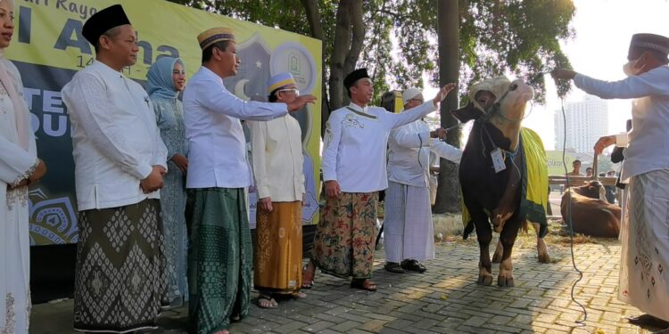 Bahlil Lahadalia Serahkan Sapi Kurban 1,2 Ton di Masjid Ainul Hikmah