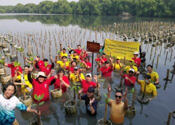 Ulang Tahun ke-7 Maxim dan KLHK Tanam Mangrove Demi Masa Depan Bumi Lebih Hijau