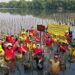 Ulang Tahun ke-7 Maxim dan KLHK Tanam Mangrove Demi Masa Depan Bumi Lebih Hijau