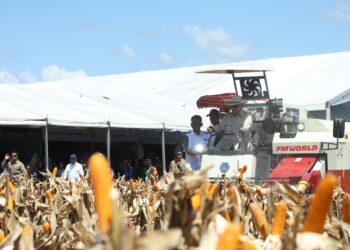 Momen Membanggakan Prabowo Lepas Ekspor Perdana 1.200 Ton Jagung Indonesia ke Malaysia