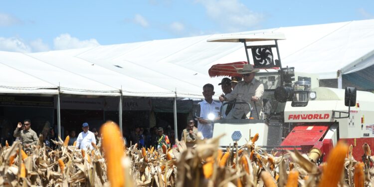 Momen Membanggakan Prabowo Lepas Ekspor Perdana 1.200 Ton Jagung Indonesia ke Malaysia