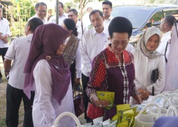 GKR Hemas Komitmen Dorong Pembangunan Desa Perbatasan