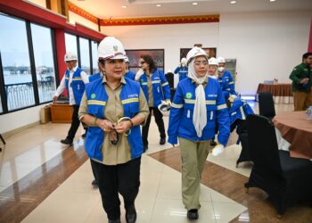 Alien Mus: Aplikasi DIMAS Permudah Distribusi Pupuk dan Dorong Swasembada Beras