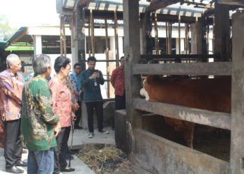 GKR Hemas Dorong Desa Kepek Sebagai Model Desa Mandiri Energi Dan Bebas Stunting