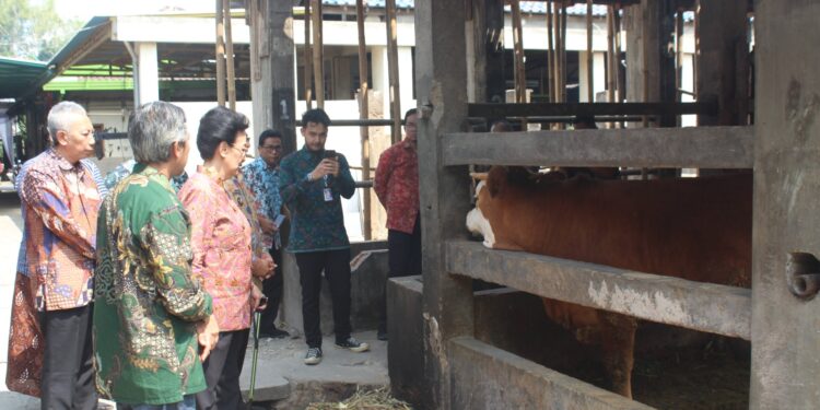 GKR Hemas Dorong Desa Kepek Sebagai Model Desa Mandiri Energi Dan Bebas Stunting