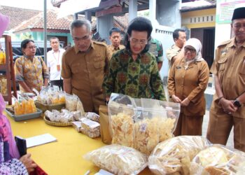 GKR Hemas Kunjungi Bantul, Bahas Penguatan UMKM dan Pertanian