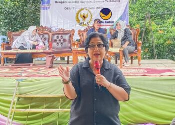 RS Asing Buka di RI, Komisi IX: Pemerintah Harusnya Support RS Domesti