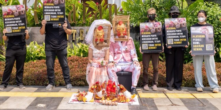 Aktivis Perlindungan Hewan Desak Bisnis Perhotelan Mewah Terapkan Kebijakan Telur Bebas Sangkar