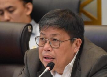 Pemerintah Seharusnya Segera Memanfaatkan Potensi Koperasi Merah Putih (KMP) dalam Penyaluran Beras SPHP