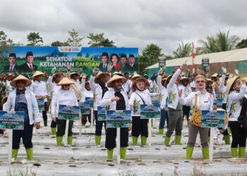 DPD RI Luncurkan Program Ketahanan Pangan di Papua Tengah, Fokus Perkuat Pertanian Lokal
