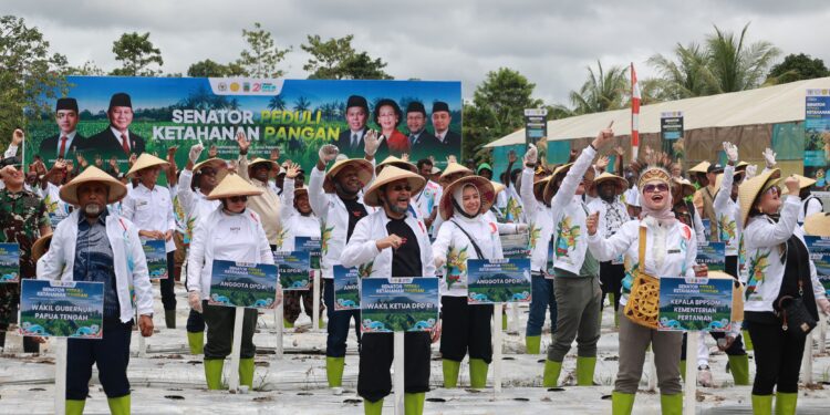 DPD RI Luncurkan Program Ketahanan Pangan di Papua Tengah, Fokus Perkuat Pertanian Lokal