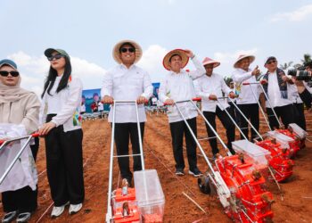 Ketua DPD RI Canangkan Program Senator Peduli Ketahanan Pangan di Bengkulu