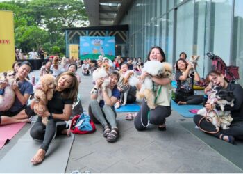 MR.D.I.Y. Rayakan Hari Olahraga Nasional dengan “Dogs Day Out” di Lippo Mall Puri