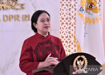 Ketua DPR RI Puan Maharani. Foto : Dok/Andri.