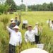 Sultan B. Najamudin Turun ke Sawah, Serahkan Alsintan dan Benih Jagung untuk Petani Bengkulu