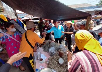 Senator Stefa Sambangi Pasar Tradisional Tompaso Baru Usai Tanam Cabe Rawit, Pantau Stok dan Harga Pangan Lokal