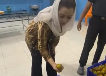 Novita Wijayanti Tinjau Dapur MBG di Cilacap dan Banyumas, Pastikan Program Bergizi Gratis Tepat Sasaran