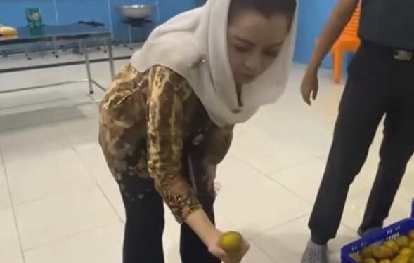 Novita Wijayanti Tinjau Dapur MBG di Cilacap dan Banyumas, Pastikan Program Bergizi Gratis Tepat Sasaran