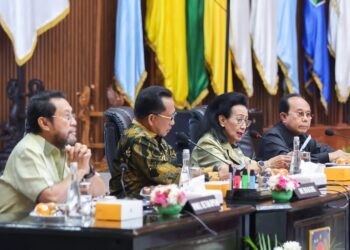 Rapat Komite I DPD dan Kemendagri Soroti TKD hingga Daerah Otonomi Baru