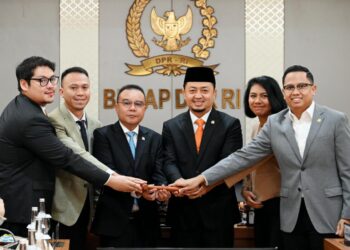Tak Hanya Pemerintah, DPR RI Hadir di Diplomasi Global Lewat BKSAP
