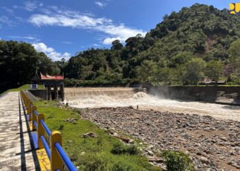 Kementerian PU Gerak Cepat, Sawah Batang Anai Kembali Hijau Pasca Terdampak Longsor Sumbar