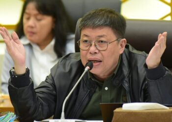 DPR Dorong Pemanfaatan Kayu Banjir untuk PLTU hingga Hunian Korban Bencana