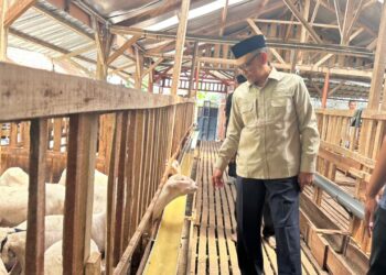 DPR Apresiasi Peternakan Modern di Tegal, Bukti Anak Muda Bisa Sukses di Sektor Pangan
