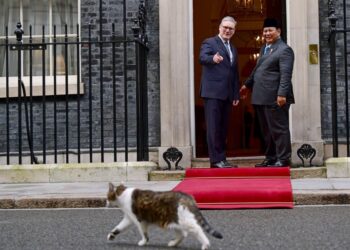 Momen Tak Terduga di 10 Downing Street: Prabowo dan PM Inggris Serius, Tapi Kucing Ini Nyelonong