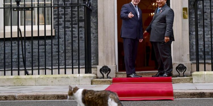 Momen Tak Terduga di 10 Downing Street: Prabowo dan PM Inggris Serius, Tapi Kucing Ini Nyelonong