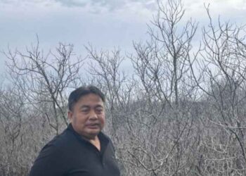 Ratusan Mangrove Mati di Kawasan Benoa, Nyoman Parta Minta Penegak Hukum Usut Dugaan Kebocoran Pipa BBM Milik Pertamina