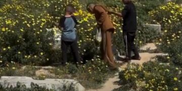 Fenomena Bunga di Makam Gaza Viral