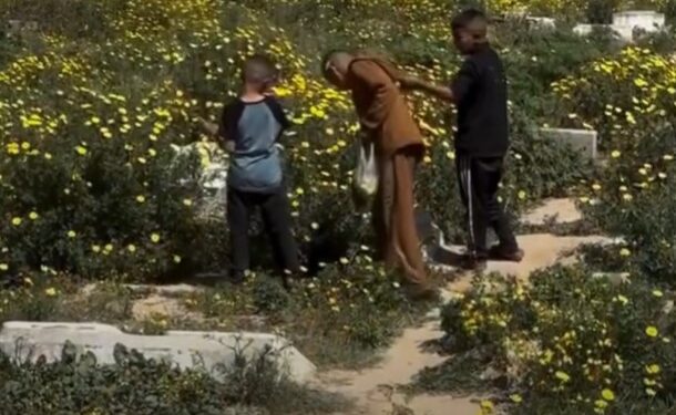 Fenomena Bunga di Makam Gaza Viral
