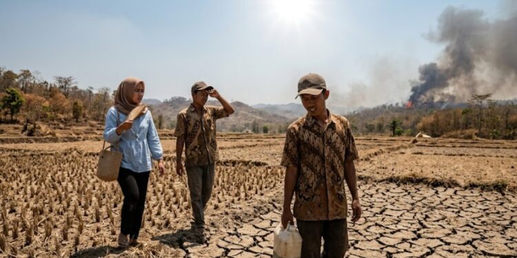 Fenomena “Godzilla El Niño” Bakal Mampir ke Indonesia, Panas, Kering, dan Potensi Kebakaran Hutan