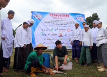 Ciptakan Santripreneur, Wartawan Mancing Indonesia Latih Santri Budidaya Ikan Air Tawar dan Digitalisasi Bisnis