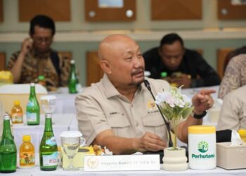 Komisi IV DPR: Libatkan Masyarakat, Pengelolaan Hutan Harus Tetap Kedepankan Prinsip Keberlanjutan