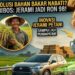 BBM dari Jerami “Bobibos” Akan Diuji pada Kendaraan, Disiapkan sebagai Alternatif BBM Fosil