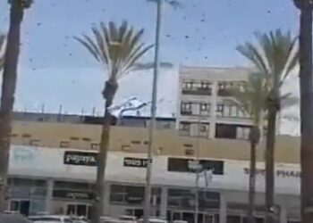Puluhan Ribu Tawon Serbu Pusat Komersial Netivot di Israel Selatan