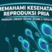 Studi Harvard: Pria Disarankan Ejakulasi Rata-Rata 21 Kali per Bulan untuk Menurunkan Risiko Kanker Prostat