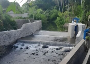 Kementerian PU Perkuat Produksi Pangan di Bali melalui Rehabilitasi Jaringan Irigasi