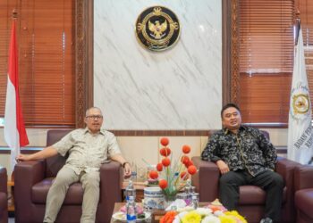 Komite IV DPD RI Soroti Tata Kelola Keuangan Daerah Bali, BPK Ungkap Sejumlah Temuan Strategis