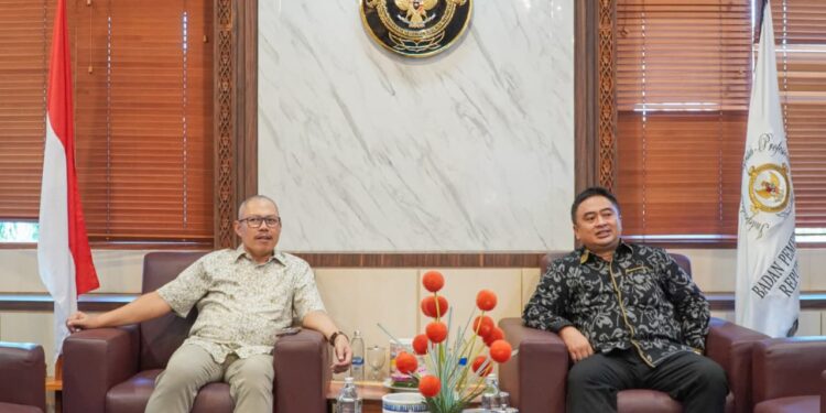 Komite IV DPD RI Soroti Tata Kelola Keuangan Daerah Bali, BPK Ungkap Sejumlah Temuan Strategis