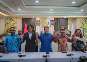 DPD RI Beri Pernyataan Terkait Dinamika Keamanan dan Konflik di Papua
