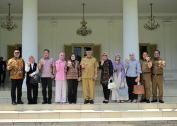 DPD RI Warning Pemerintah Pusat: Aturan Mandatory Spending Bisa Ganggu Layanan Publik di Daerah