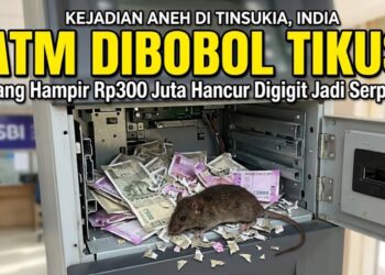 ATM Dibobol Tikus! Uang Hampir Rp300 Juta Hancur Digigit Jadi Serpihan